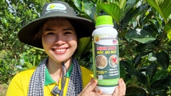 Mãnh Long Nốc Ao Đọt