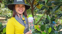 Mãnh Long Nốc Ao Đọt