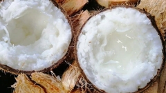 Dừa Sáp