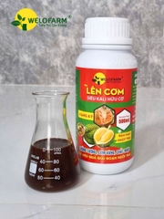 Lên Cơm