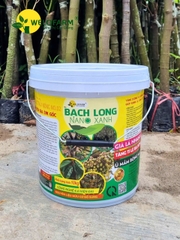 Bạch Long Nano Xanh 10Kg