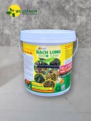 Bạch Long Nano Xanh 10Kg