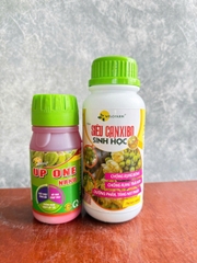 BỘ CHỐNG RỤNG BÔNG RỤNG TRÁI NON SẦU RIÊNG