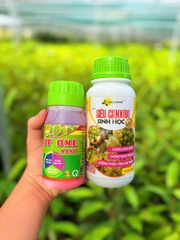 BỘ CHỐNG RỤNG BÔNG RỤNG TRÁI NON SẦU RIÊNG