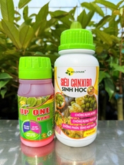 BỘ CHỐNG RỤNG BÔNG RỤNG TRÁI NON SẦU RIÊNG
