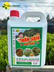 Thần Sấm Diệt Tuyến Trùng Pro
