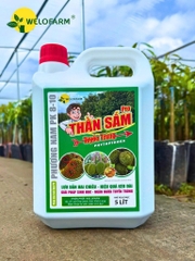Thần Sấm Diệt Tuyến Trùng Pro