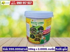 Bạch Long Nano Xanh