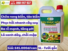 Siêu Phục Hồi