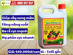 Siêu Dưỡng Cây