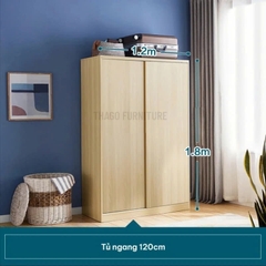 Tủ Quần Áo 2 Cánh Thiết Kế Hiện Đại