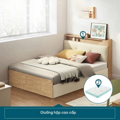 Giường Ngủ Hiện Đại Đầu Bọc Nệm Gỗ Tự Nhiên