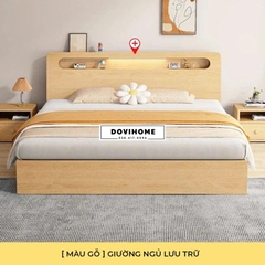 Giường ngủ bệt hiện đại C02
