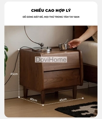 Tab Đầu Giường Gỗ Tự Nhiên Hiện Đại 2 Ngăn