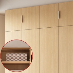 Tủ Quần Áo Kịch Trần Gỗ Công Nghiệp Cốt Xanh Cao Cấp