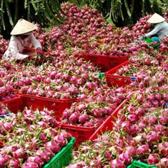Agricultural products