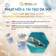 SPCELL LAB SKIN BOOSTER DR.COKTAIL / TIÊM MESO TINH CHẤT TẾ BÀO GIẢI PHÁP CHO LÀN DA LÃO HÓA