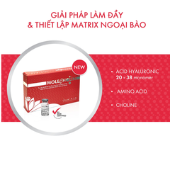 MOLECHOLIN / MESO LÀM SĂN CHẮC, CẢI THIỆN NẾP NHĂN & THU NHỎ LỖ CHÂN LÔNG