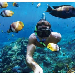 Vỏ chống nước GoPro - Protective Housing GoPro Hero 9 10 11 12 Black- Chính hãng