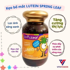 BỔ MẮT SPRING LEAF 8MG 80 VIÊN CỦA ÚC
