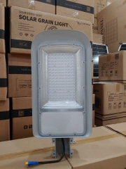 Đèn đường năng lượng mặt trời 20W Euler OLV-OLG 1.0