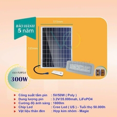 Đèn Năng Lượng Mặt Trời Euler Energy OLV- FLRP2.0（300W)