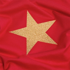 Áo Thun - Cờ Đỏ Sao Vàng Kim Tuyến