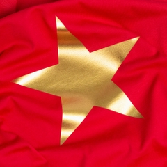Áo Thun - Sao Vàng In Nhũ Vàng Gold