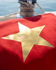 Áo Thun - Sao Vàng In Nhũ Vàng Gold