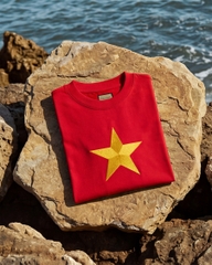 Áo Thun - Sao Vàng Thêu Satin