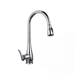 Vòi rửa bát nóng lạnh dây rút Roslerer RL 668