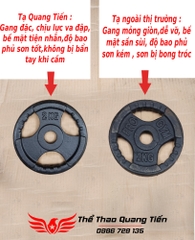 Tạ bánh gang 2 kg, miếng tạ gang 2 kg , đĩa tạ gang 2kg 3 cánh QT08