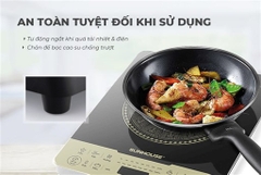 Bếp từ đơn Sunhouse SHD6869