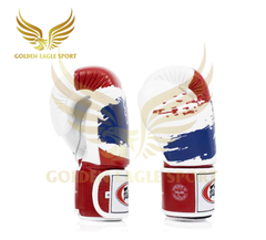 GĂNG TAY BOXING FAIRTEX THAI PRIDE