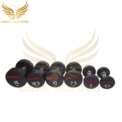 Tạ tay thép bọc cao su Ironbull IR04 nhập khẩu chính hãng 30kg