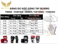 Găng tay Boxing đỏ BGV Fairtex X ONE Championship