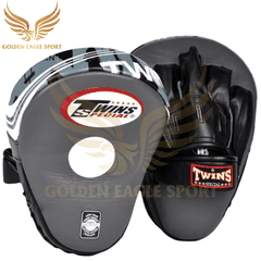 ĐÍCH ĐẤM TWINS PML10 FOCUS MITTS