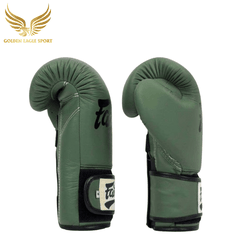 Găng Tay Boxing Fairtex BGV1 F-DAY