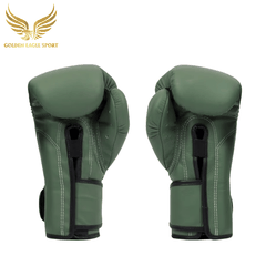 Găng Tay Boxing Fairtex BGV1 F-DAY
