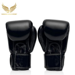 Găng Tay Boxing Fairtex BGV1 Universal Gloves - Breathable - Đen