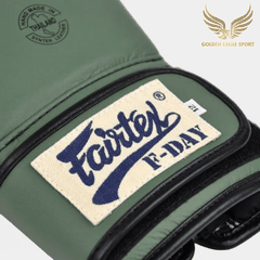 Găng Tay Boxing Fairtex BGV1 F-DAY