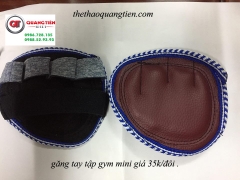 găng tay tập gym mini
