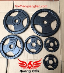 Tạ bánh gang 2kg, tạ đĩa gang 2kg phi 50 lỗ to QT20