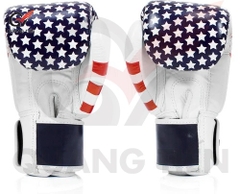 Găng tay Boxing Fairtex BGV1 USA Flag