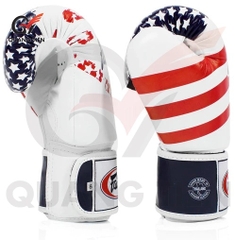 Găng tay Boxing Fairtex BGV1 USA Flag