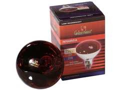 Bóng đèn hồng ngoại 250W