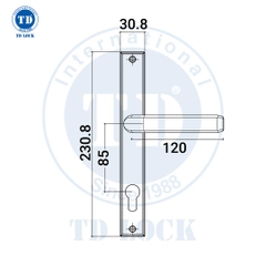KHÓA TAY GẠT CỬA NHÔM - BDH-235250-S-G GOLD