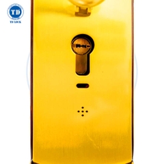 KHÓA ĐIỆN TỬ THÔNG MINH CỬA GỖ - BSM-488489-2