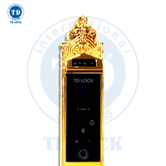 KHÓA ĐIỆN TỬ THÔNG MINH CỬA GỖ - BSM-488489-G