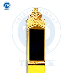 KHÓA ĐIỆN TỬ THÔNG MINH CỬA GỖ - BSM-488489-G
